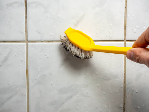 Best Certified Mold Removal  in Canton, MO
