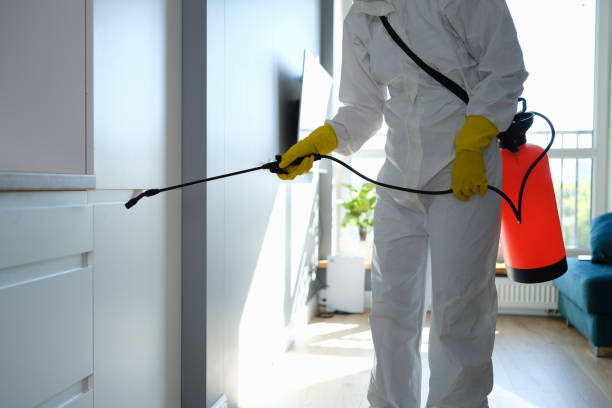 Best Emergency Mold Removal  in Canton, MO